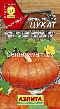 Тыква Цукат