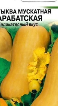 Тыква мускатная Арабатская