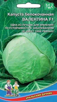 Капуста б/к Валентина F1