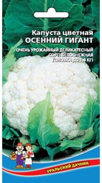 Капуста цветная Осенний гигант