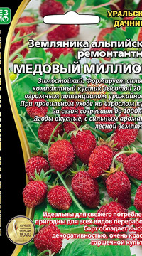 Земляника альпийская ремонтантная Медовый Миллион
