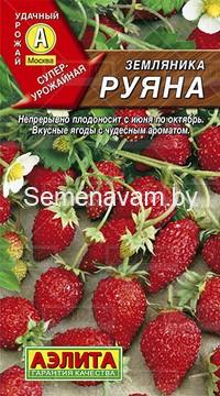 Земляника альпийская Руяна