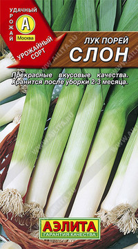 Лук порей Слон
