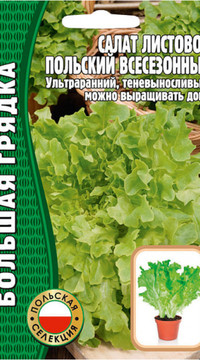 Салат Листовой Польский Всесезонный