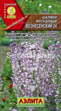 Шалфей мускатный Вознесенский 24