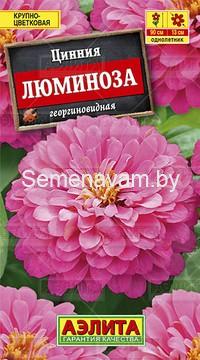 Цинния Люминоза
