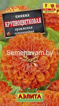 Цинния Крупноцветковая оранжевая