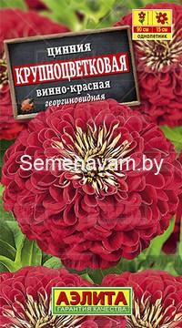 Цинния Крупноцветковая винно-красная