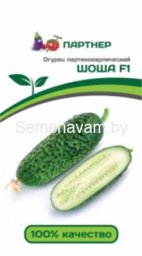 Огурец партенокарпический Шоша F1